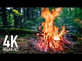 10 HOURS Campfire Sounds In the Forest — Relaxing Burning Fireplace & Crackling Fire Sounds