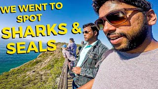 HIKING in SOUTH AFRICA for first time | found an island | Hiking vlog | Indian in Africa