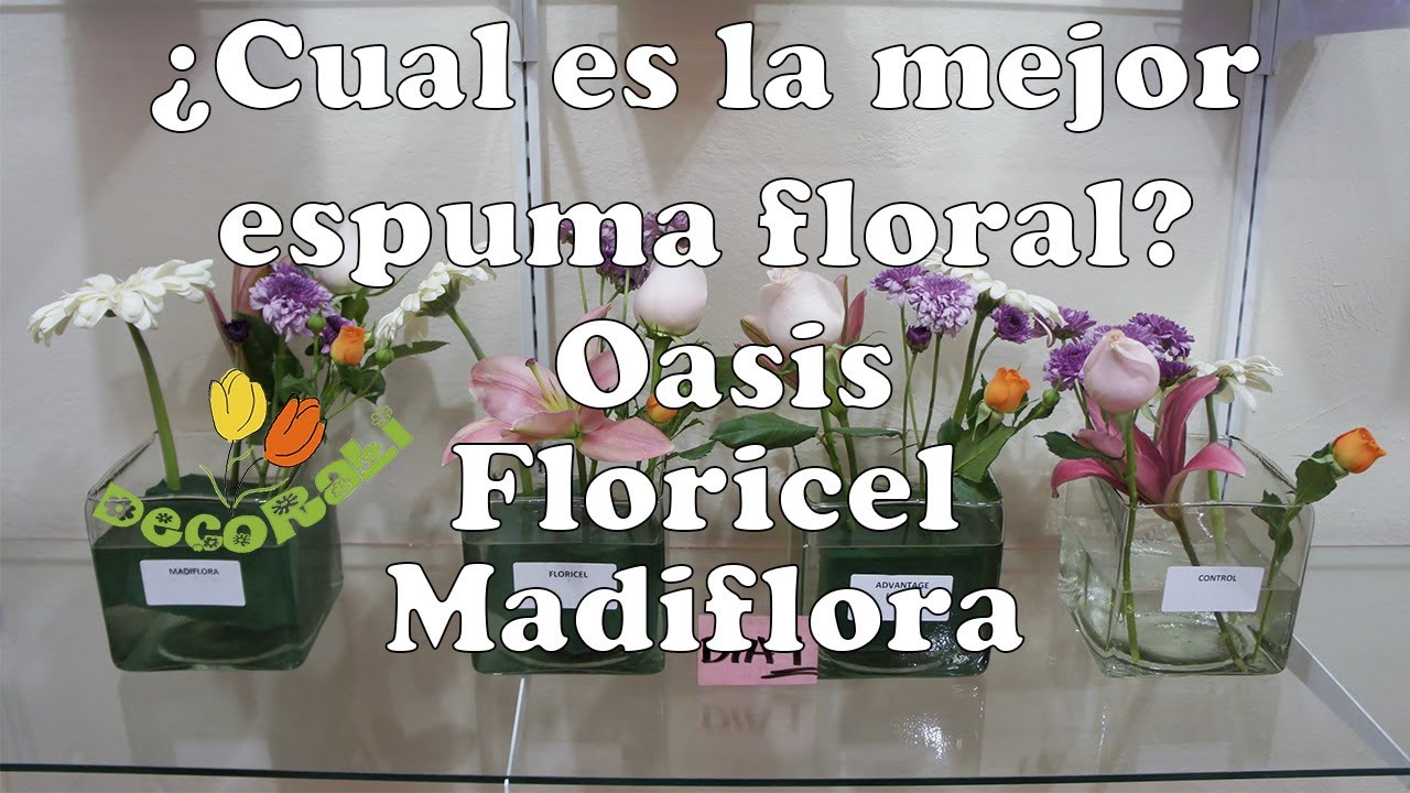 Cómo elegir la mejor esponja para flores naturales