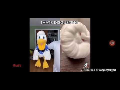 Me when I see hololive rule34 Me when I see hololive rule34