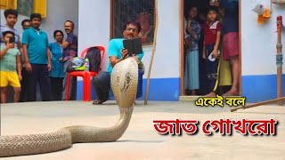 জাত চিনিয়ে দিল জাঁদরেল এই গোখরো সাপ | জনগণ কীভাবে নিজের ঘোর বিপদ ডেকে আনছে? Cobra Rescue Operation