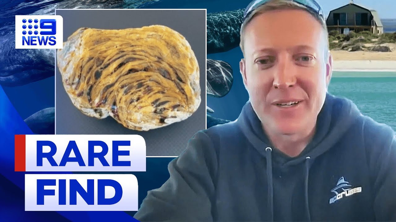 South Australian man finds rare treasure worth ‘as much as gold’ | 9 News Australia