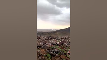لا تنسوا قراءة سورة الكهف جمعة مباركة