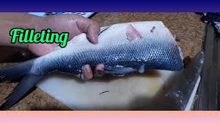 How to Prepare Milkfish Fillet | Performance Task in TLE