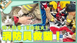【孤貓工作室】直播好人好事單位起火消防員救貓