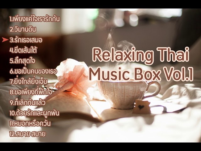 เพลงบรรเลง musicbox เพราะๆ เหมาะกับร้านกาแฟ หรือกล่อมนอน (Most Relaxing Instrument  BGM) class=