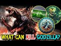 What Can Kill Godzilla The King of Monsters?