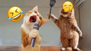 Trending Funny Animals 😍 Funniest Dogs and Cats 😹🐶