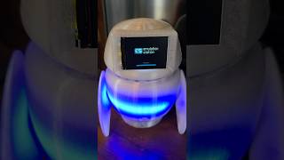 Does Google AI know Vector?