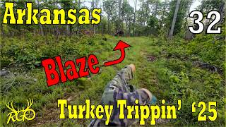They Do Exist! Arkansas Turkey - Turkey Trippin' 2025 - RGO #548