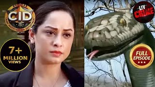 Women Task Force Purvi Gives A Tough Fight Against An Anaconda Man CID 7 March 2023