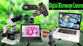 Top 10 Best Digital Microscope Camera Review 2022 | Best Digital Microscope screenshot 4