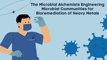 The Microbial Alchemists Engineering Microbial Communities for Bioremediation of Heavy Metals