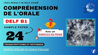 DELF B1 - Compréhension de l'orale [No.24] | DELF B1 Listening Practice Test Online | French 'N' You