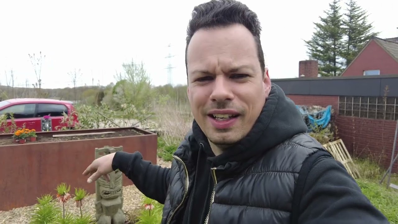 Stauden im und Drahtwürmer im Hochbeet bekämpfen YouTube