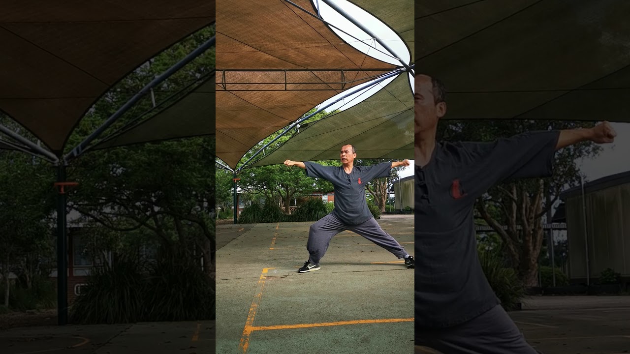 梅花拳  五势之顺势变拗势 （Meihuaquan）