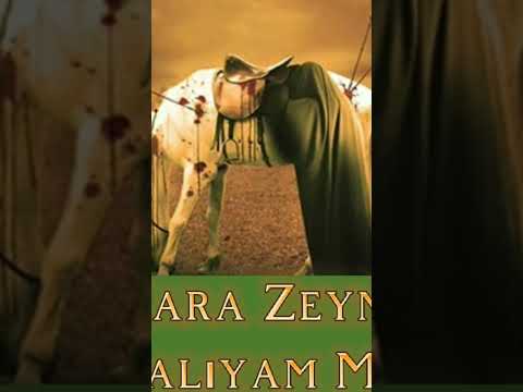 Yaraliyam men.#trending #mərsiyə #mersiye #ashura #islamic #islam #god #hicr #shorts #quran #new