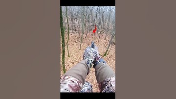 Hunting deer with pistol #hunting #deer#moose#chasse