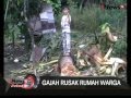 Aceh : Puluhan Gajah Liar Merusak Kebun Dan Rumah Warga
