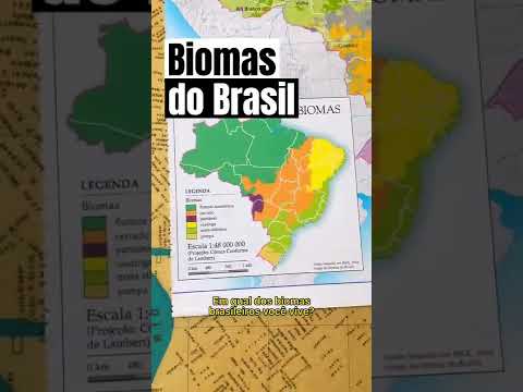 Vídeo: Onde está localizado o bioma de matagal?