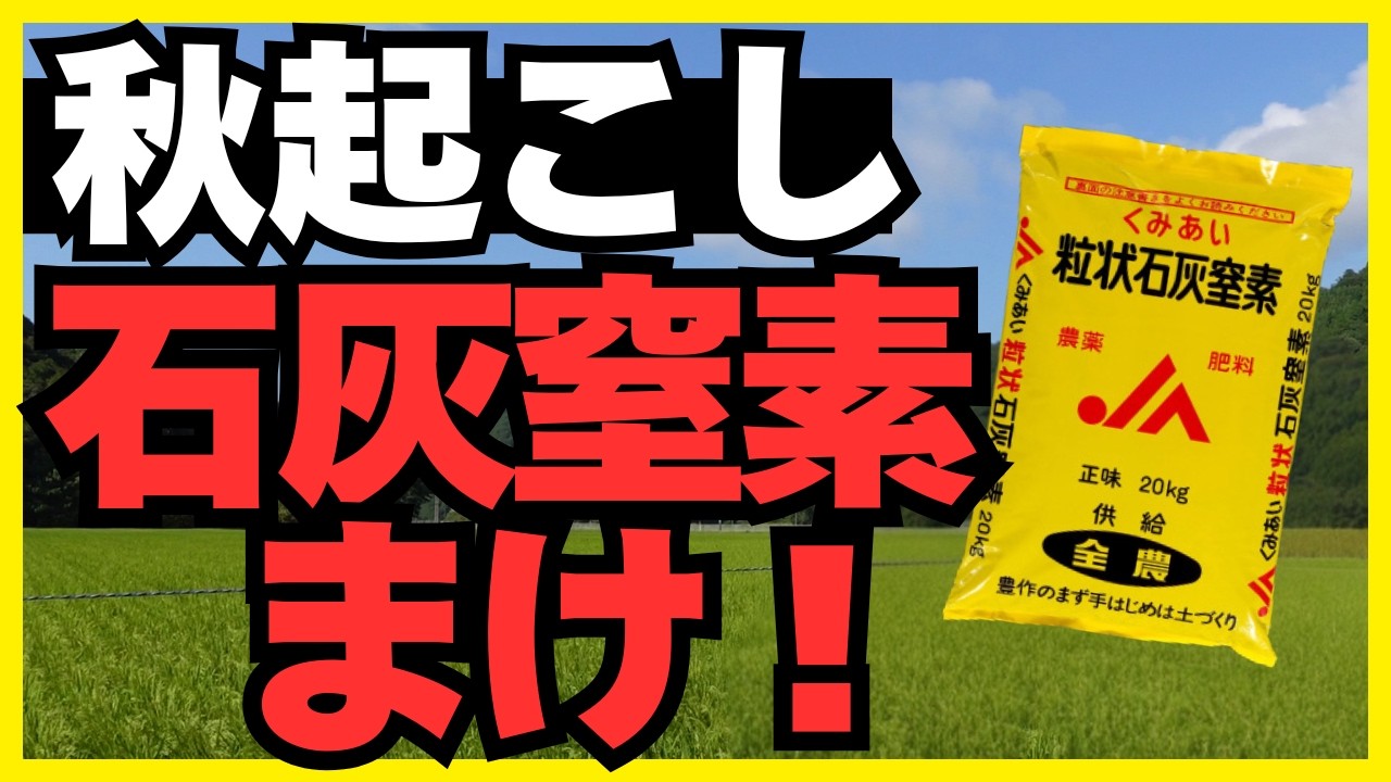【秋おこし】石灰窒素、完全活用マニュアル。土づくり・雑草対策・収量UPの全てを解説。