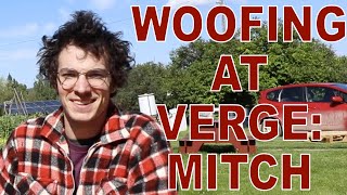 WWOOFING At Verge - Mitch discusses his WWOOFING Experience