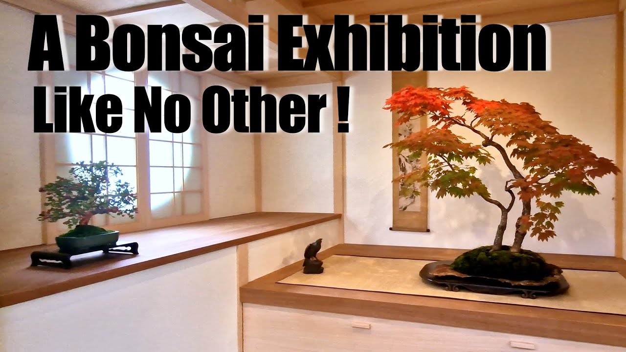 The Trees That Took Decades to Perfect | Kei Bonsai Kai TEN 2025