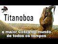 TITANOBOA, a maior cobra do mundo! | Biólogo Henrique o Biólogo das Cobras