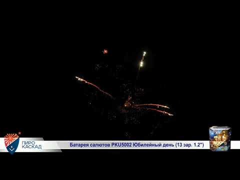 Видео: Батарея салютов Юбилейный день (13/1,2) PKU5002