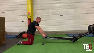 dynamic plank scaled:  Gymnastics Programming