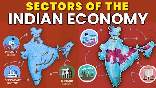 Sectors of the Indian Economy class 10 cbse animated video in Hindi | Class 10 economics chapter 2