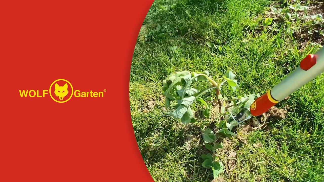 WOLF-Garten Garden Tools - Root One