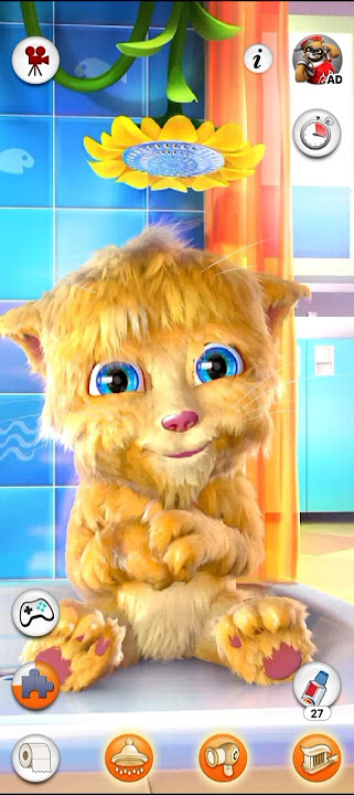 Ginger Bath time #ginger #shortvideo #funnyvideo #cat