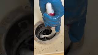 Cleaning Your Garbage Disposal