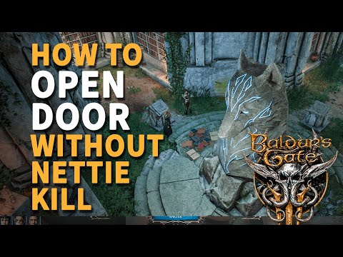 How to open Nettie Room Door Baldur's Gate 3 Open Stone Slab