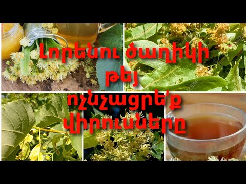 Video: Լորենի սերմերը կաճե՞ն: