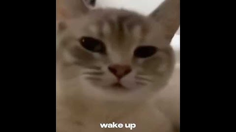 Trippie redd (Africa) 2022 snippet🔥 #snippet #trippieredd #unreleased