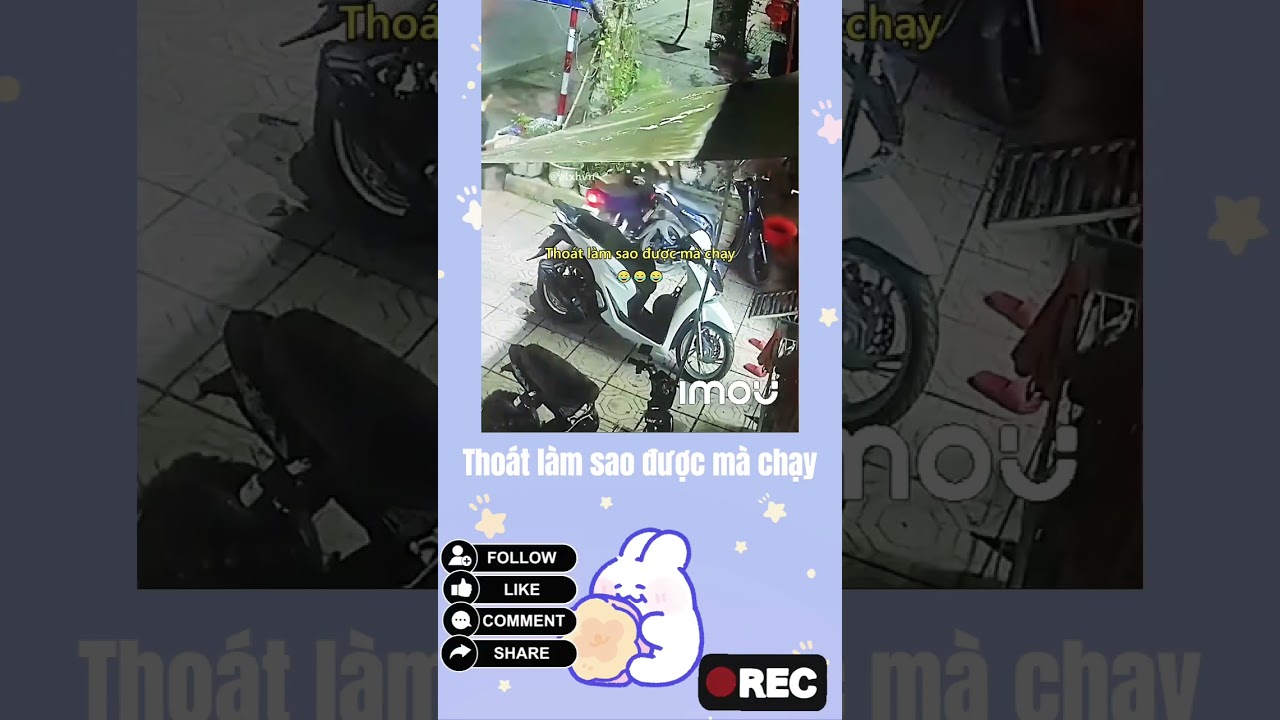thoát làm sao được mà chạy #nhacsongtv #music #lyrics #hàihước #nhachay #chill #tamtrang #thinhhanh