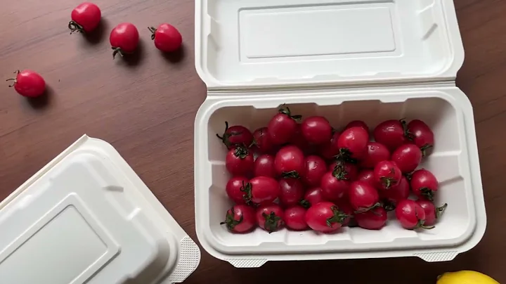 Corn Starch Eco Friendly Biodegradable Disposable Microwaveable Take Out Food Containers Lunchbox 9x