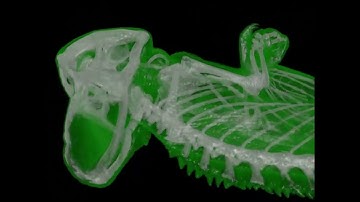 Approximate Ray-Casting Volume Rendering Based on Adaptive Sampling (submited to ICVRV2025)