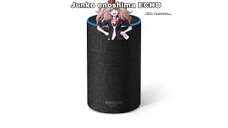 JUNKO  ECHO F*CKING ENOSHIMA also Amazon...