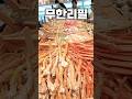 도쿄 긴자 핫포 해산물 무한리필