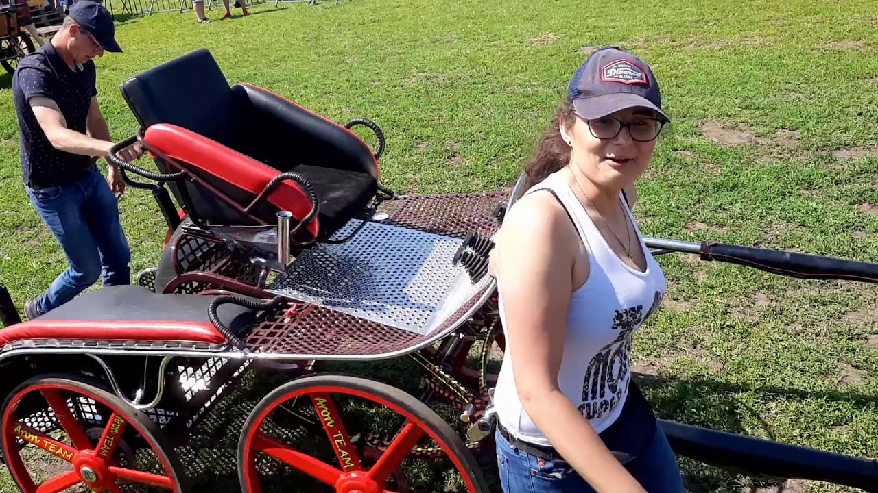 Zawody w powożeniu Stary Widzim 2019