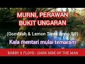 Murni, Perawan Bukit Ungaran - Gombloh & Lemon Tree's Anno '69 Lirik