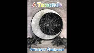 Video thumbnail of "Salvatore Benincasa - A Tarantula (Cover 2023)"