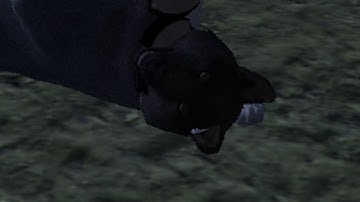 Multifandom Ship MEP Parts 17+18 #HookedOnAValentineMEP