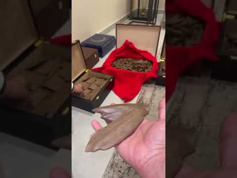 أنواع العود ف ن ن العود