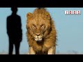 The &#39;Human Super-Predator&#39; Scares Animals More Than Lions Do | 7 Days of Science