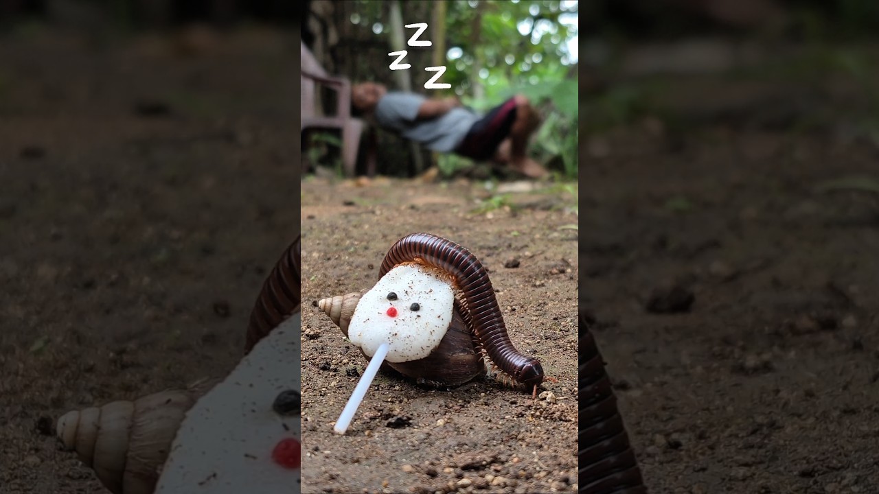Don't tell the millipede, I'm sleeping and snoring