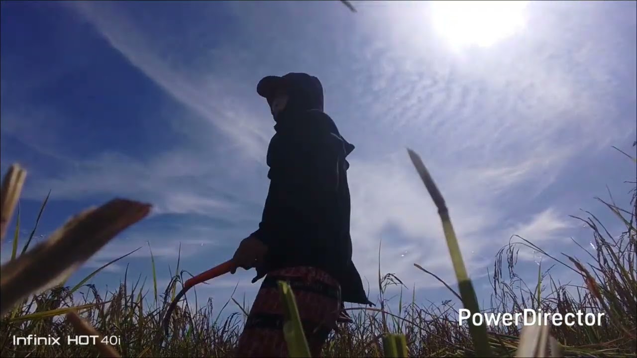  hi po gays pa supporta  po jan Yan po na garab KAMI  para Maka bigas kami❤️❤️❤️❤️